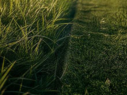 A wide band of freshly cut grass with a crisp cut line running through it.